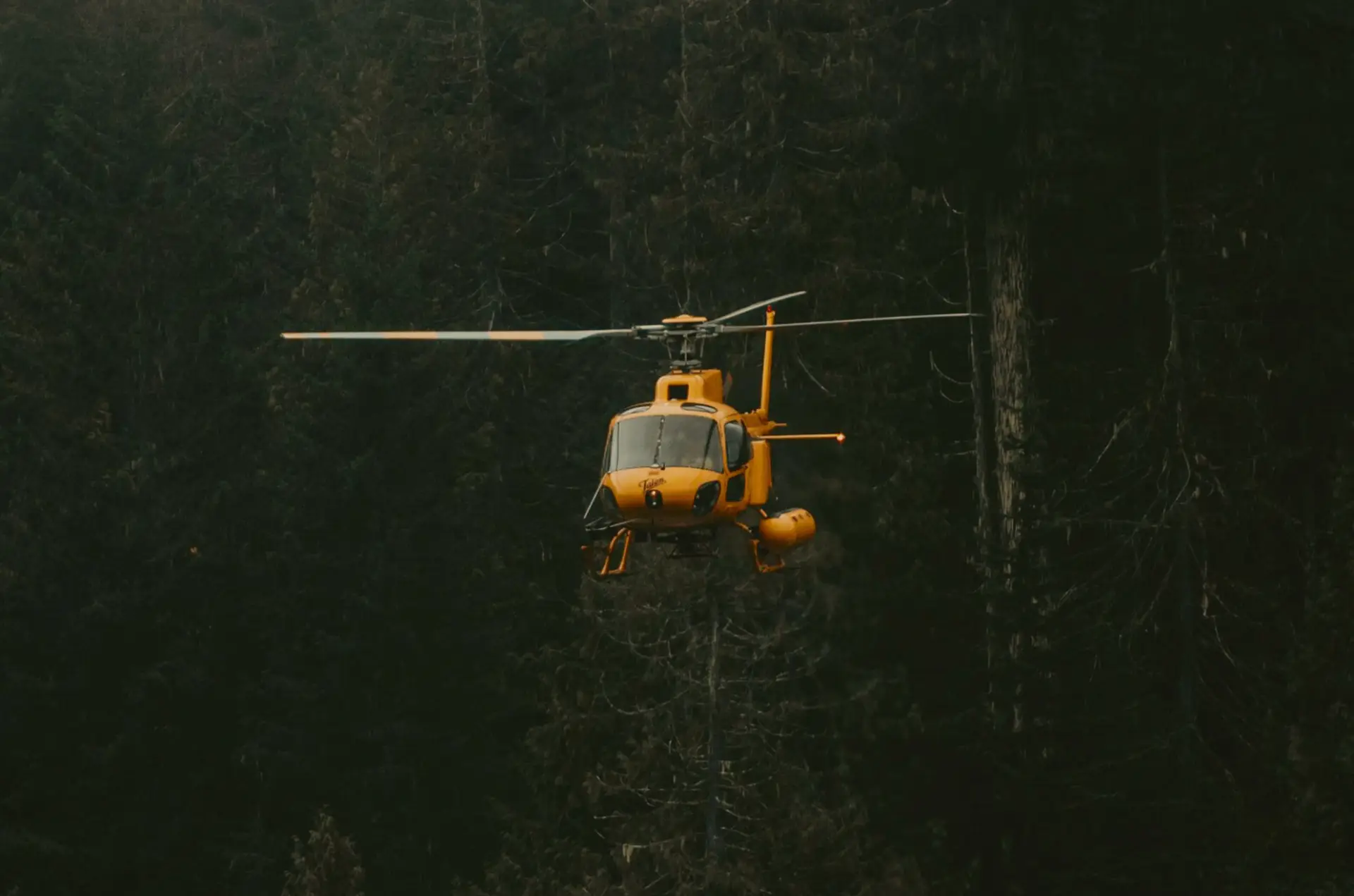 Heli Hiking in Revelstoke, Orange Heli Shot in the forest