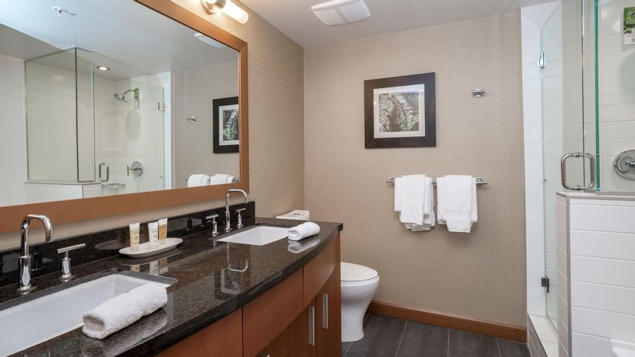 Two Bedroom Premium Suite - Bathroom